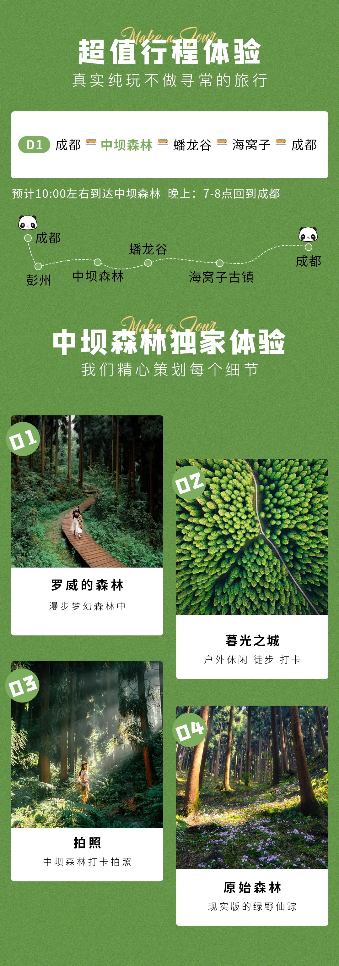 中坝森林3