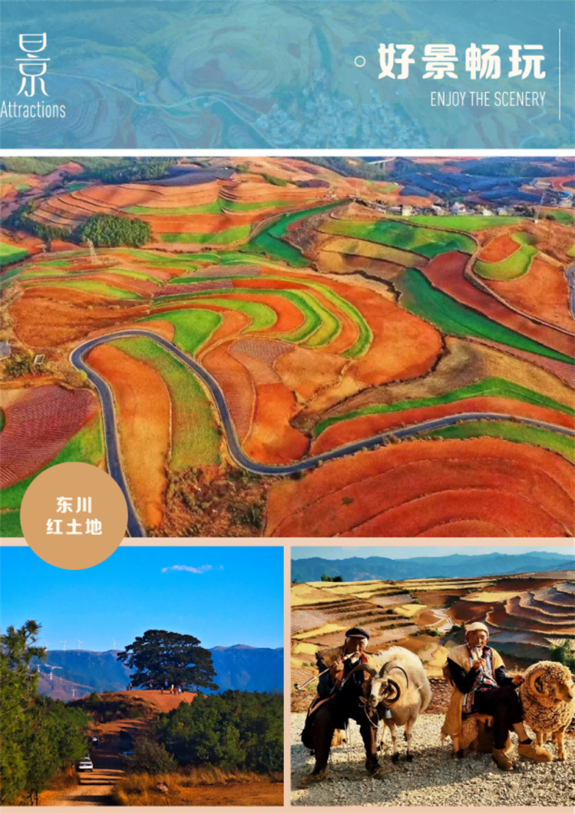 微信图片_20260119110111_22_191